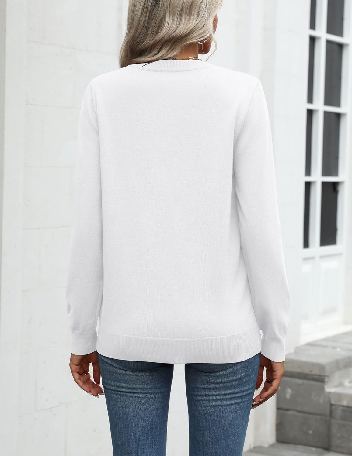 Zeagoo Womens 2025 Fall Sweaters Long Sleeve Tops Classic Crew Neck Pullover Sweaters Loose Dressy Casual Basic Clothes