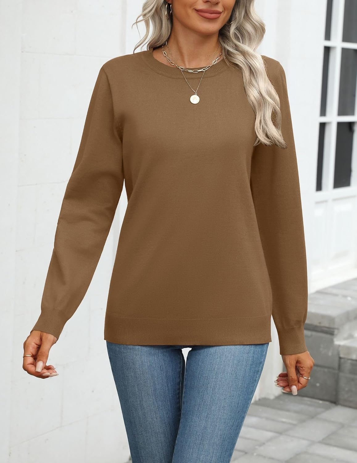 Zeagoo Womens 2025 Fall Sweaters Long Sleeve Tops Classic Crew Neck Pullover Sweaters Loose Dressy Casual Basic Clothes