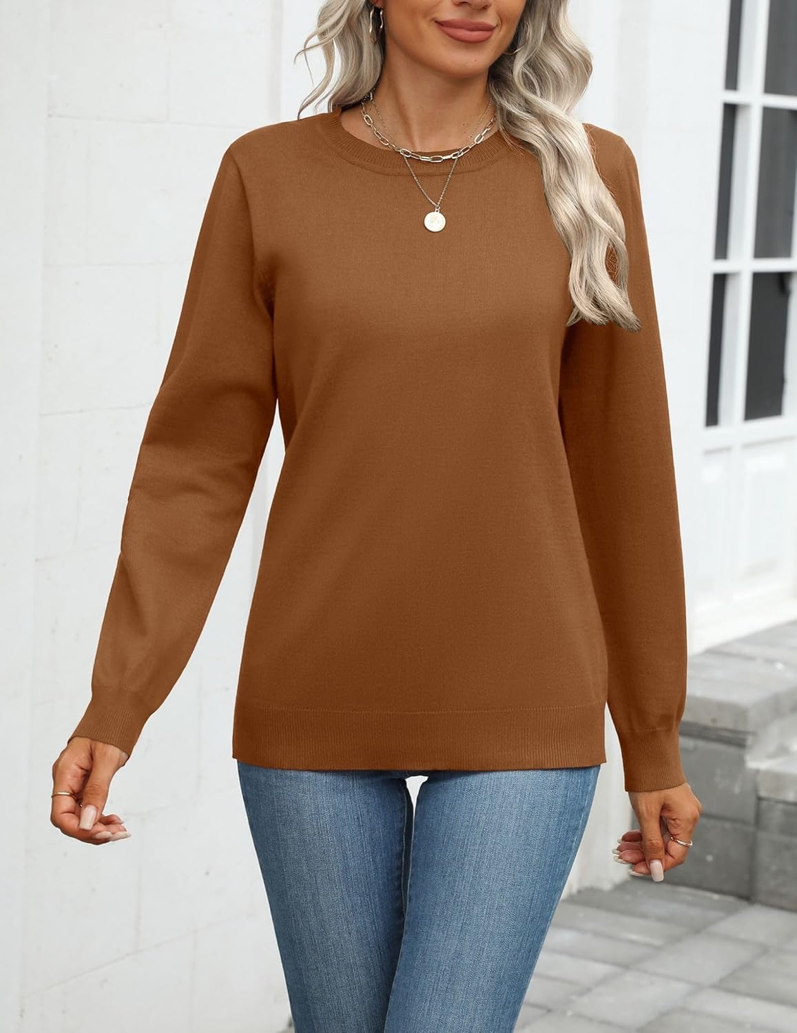 Zeagoo Womens 2025 Fall Sweaters Long Sleeve Tops Classic Crew Neck Pullover Sweaters Loose Dressy Casual Basic Clothes