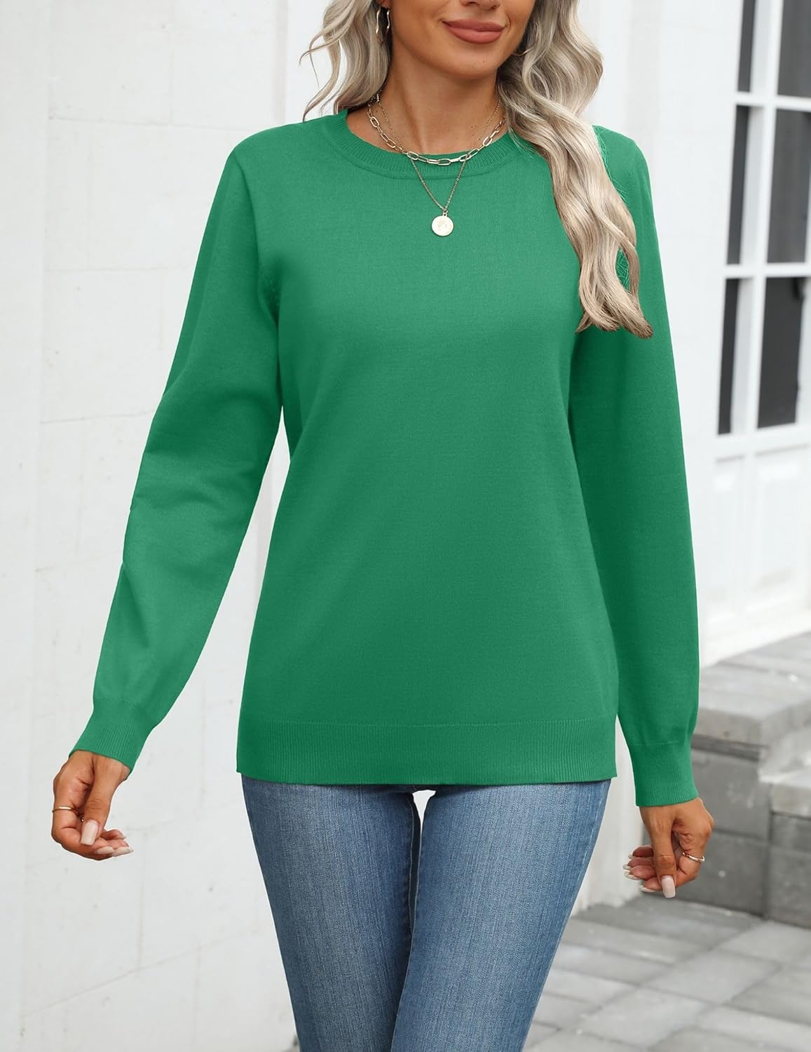 Zeagoo Womens 2025 Fall Sweaters Long Sleeve Tops Classic Crew Neck Pullover Sweaters Loose Dressy Casual Basic Clothes