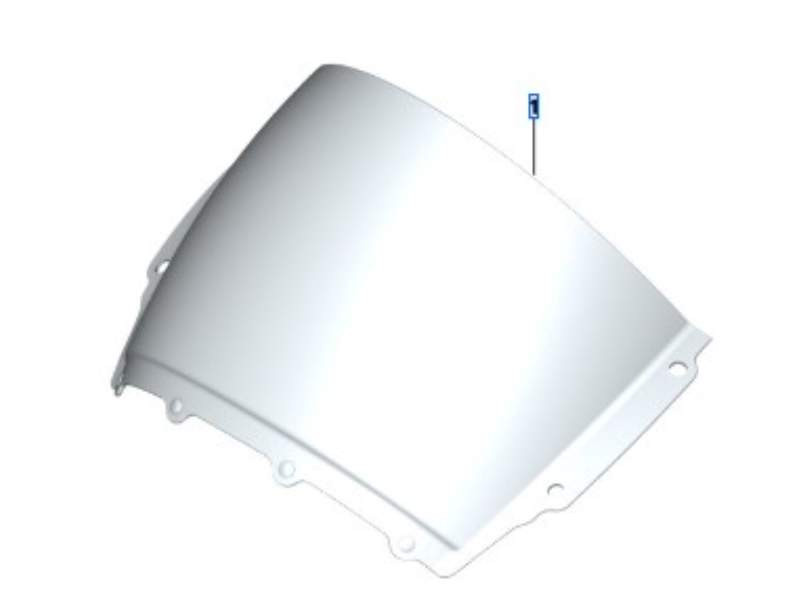 BMW Tinted screen - M1000RR