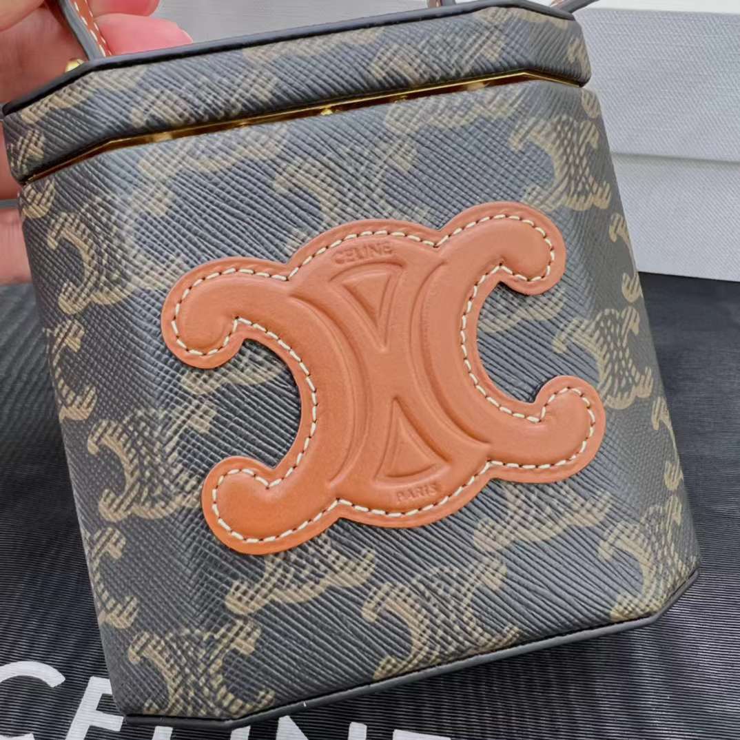 CELINE LOCK TRIOMPHE 標誌印花牛皮革迷你手提包