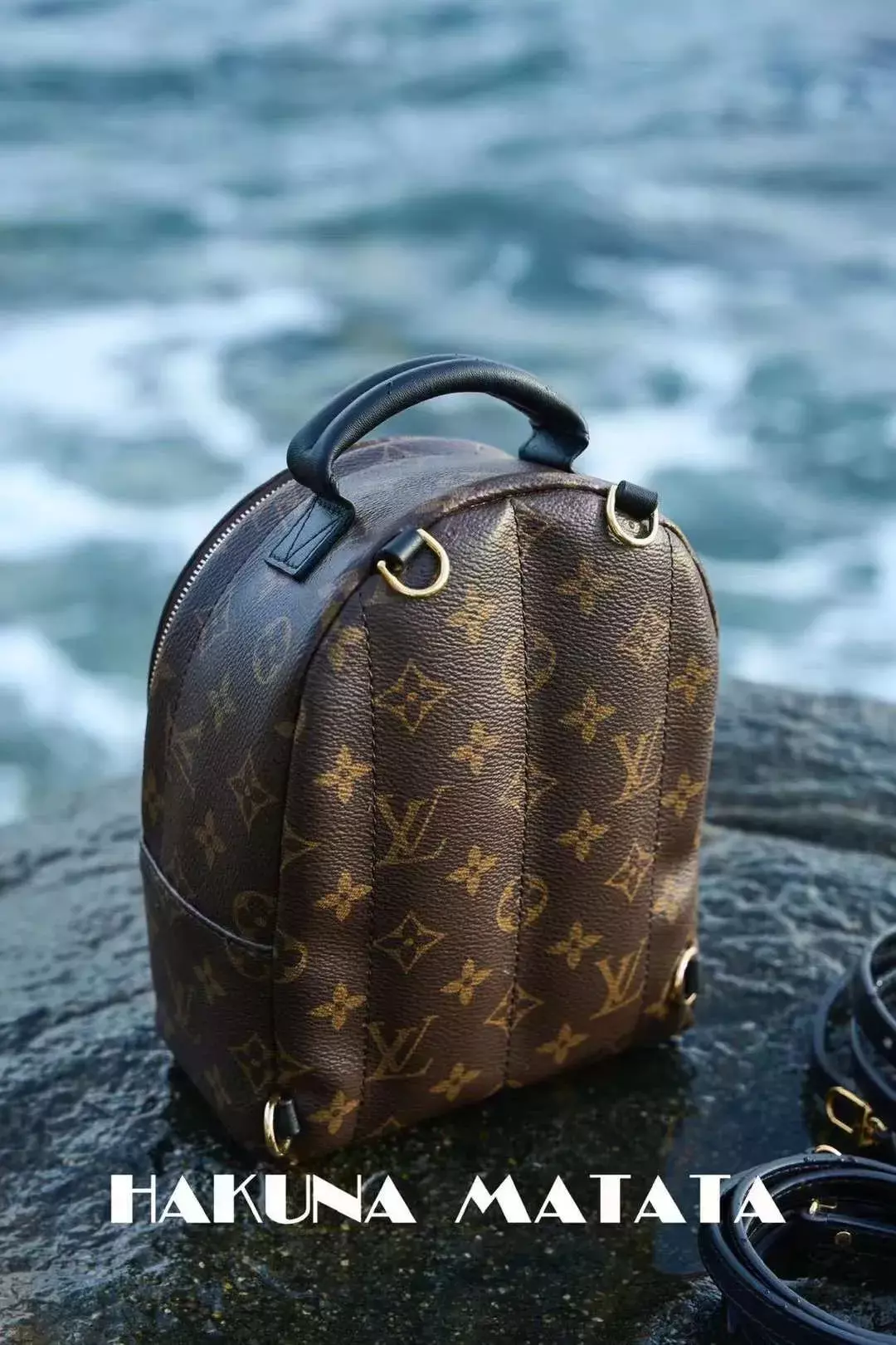 LV PALM SPRINGS MINI 後背包 M44873