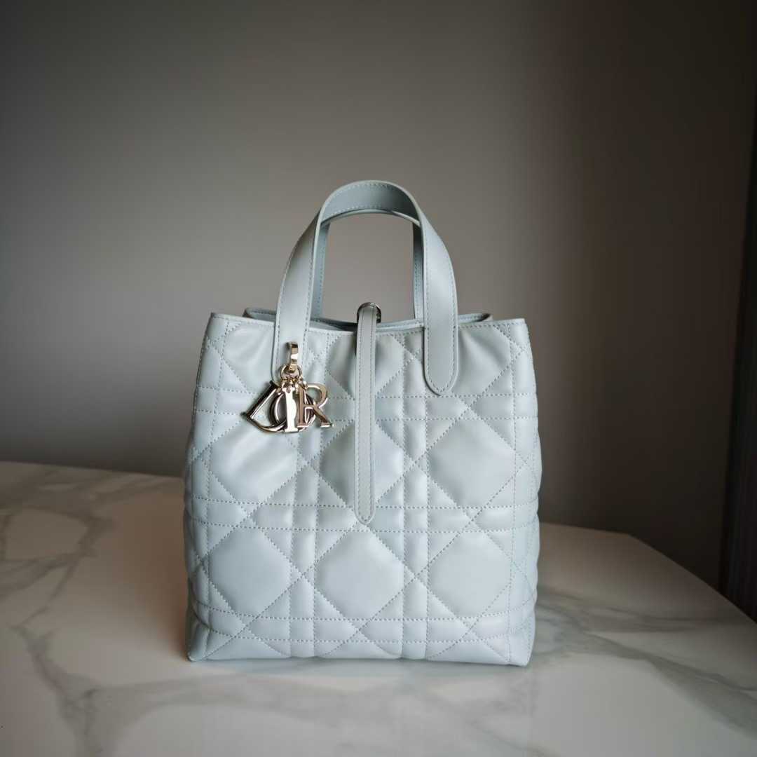 Dior Toujours 豎版 手袋 baby藍