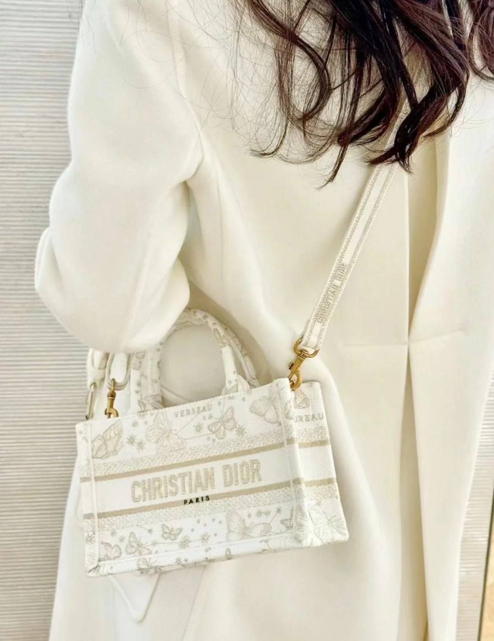 DIOR BOOK TOTE 限定款 背帶托特包 白金蝴蝶 超迷你