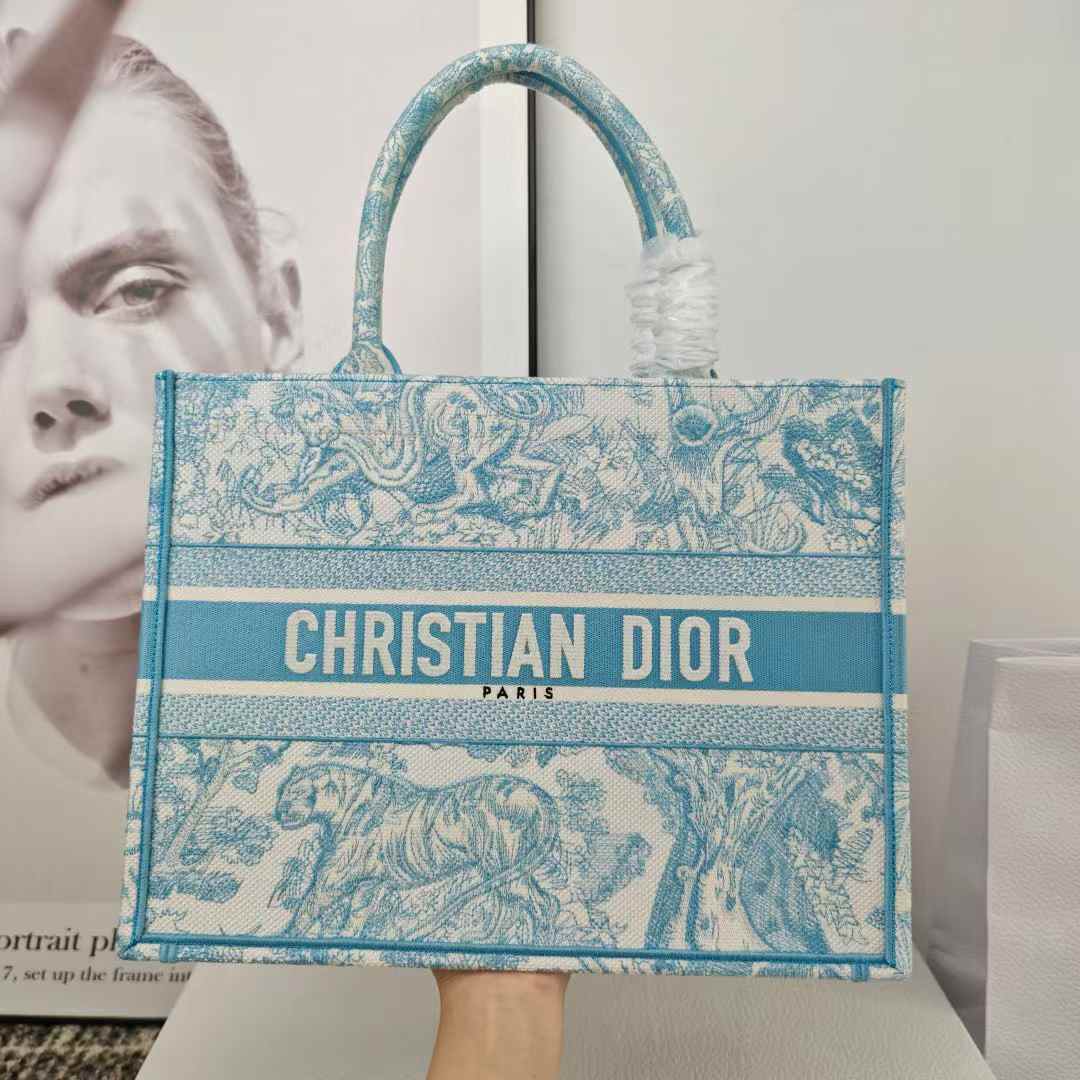 Dior 2025早秋 Fall 新款 BookTOTE 淺藍