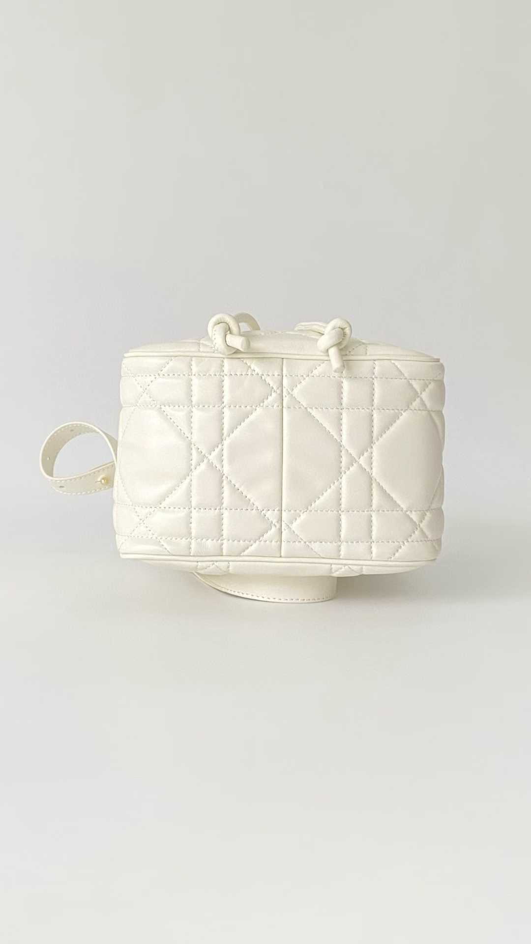 DIOR D-Motion 水桶包 (兩色)