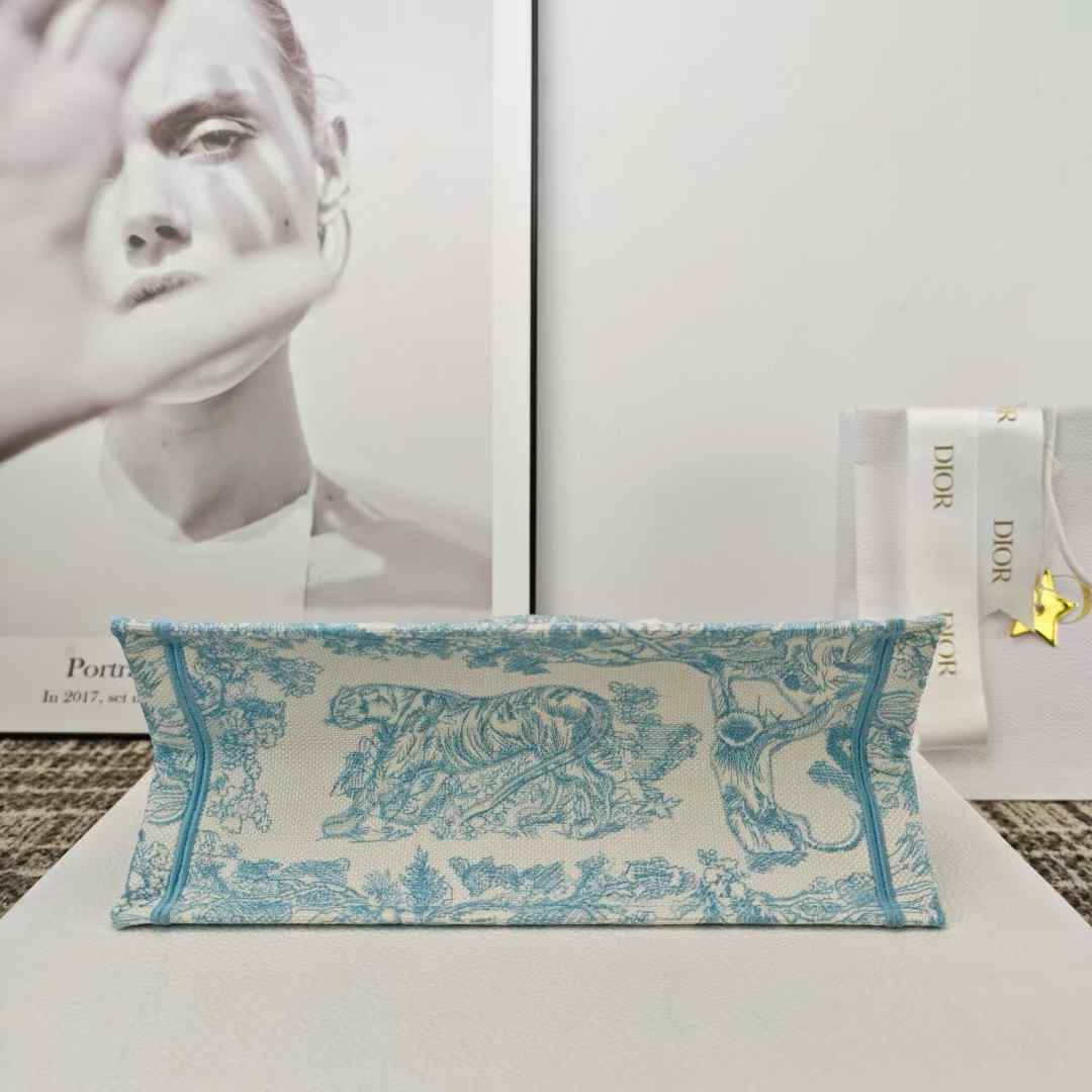 Dior 2025早秋 Fall 新款 BookTOTE 淺藍