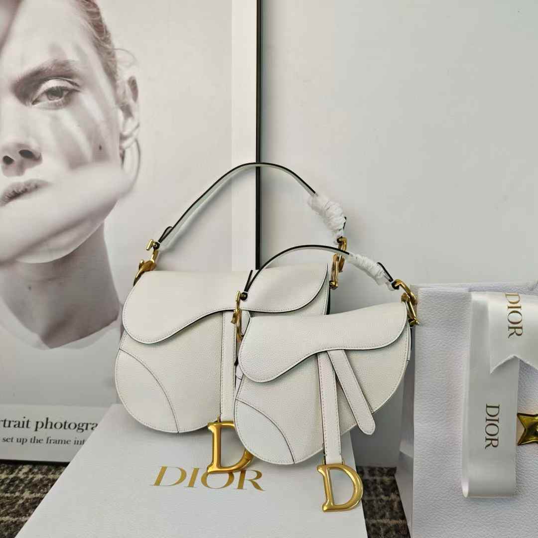 DIOR mini Saddle bag 小號馬鞍包 (黑/白)