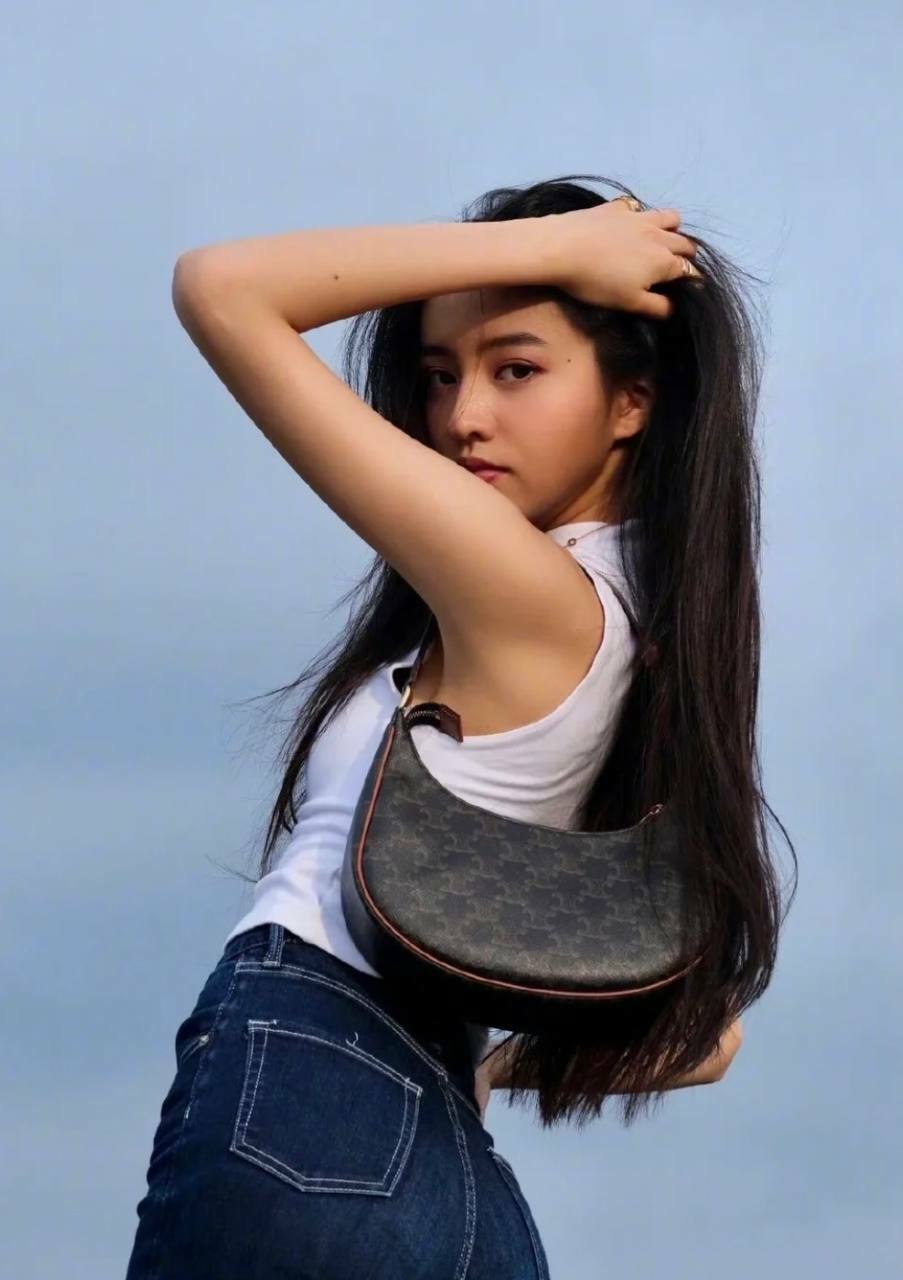 CELINE TRIOMPHE帆布及小牛皮AVA腋下包