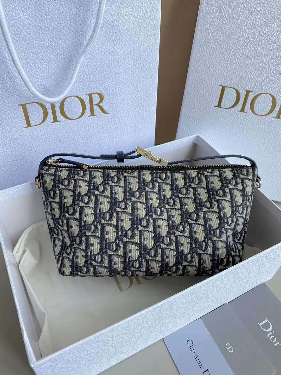 DIOR NOMAD 手提包飯盒包 老花藍中號