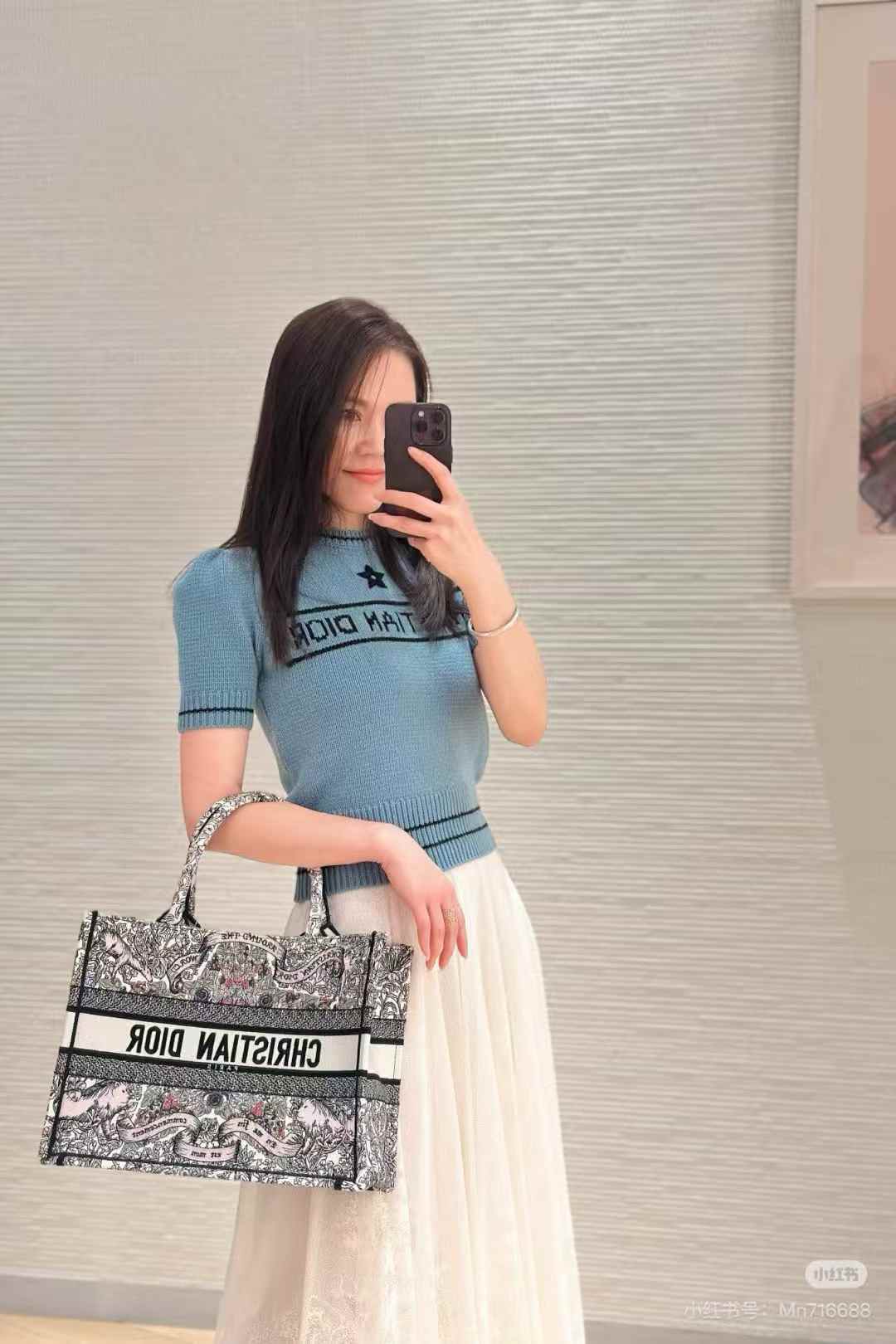 Dior Book Tote Around the World 圖案刺繡 手袋