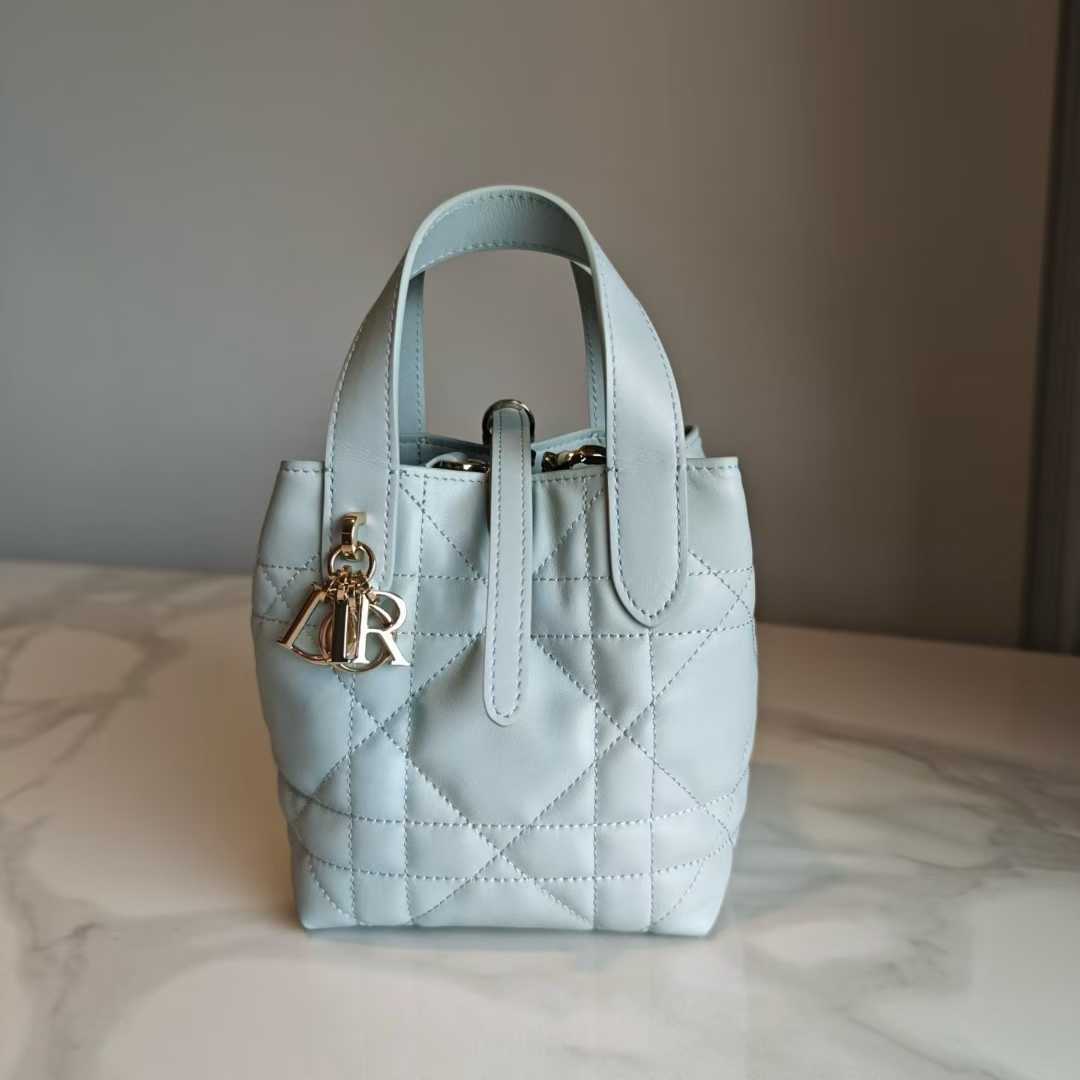 Dior Toujours 豎版 手袋 baby藍