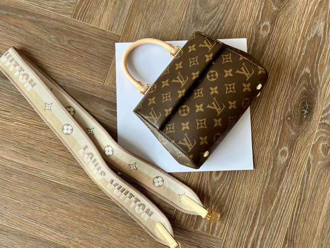 LV CLUNY MINI 手袋 寬肩帶側背包 M46055