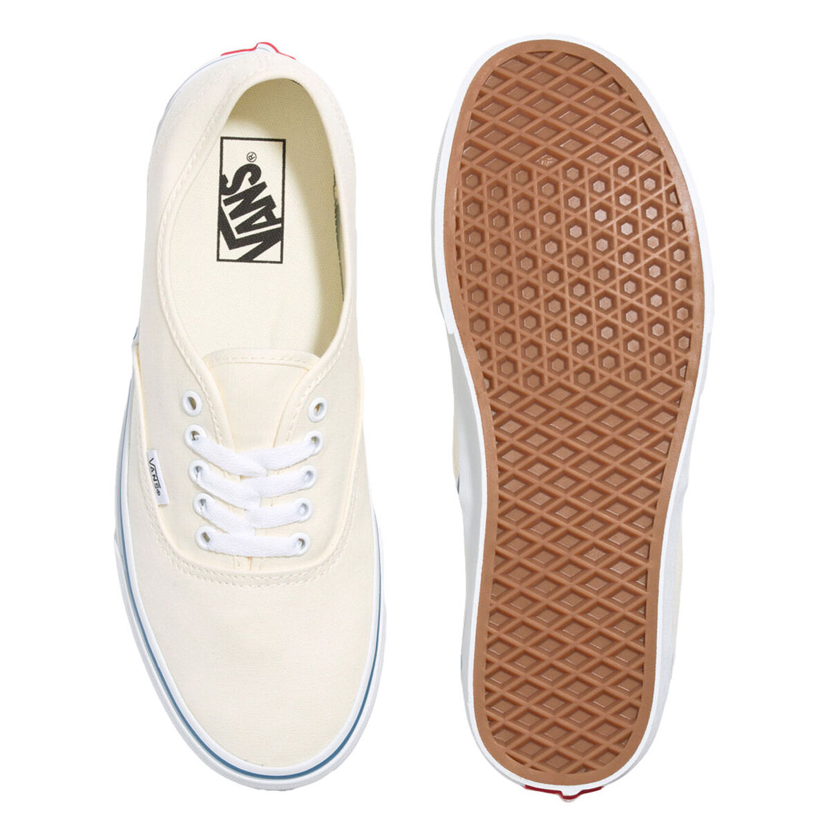 Vans Authentic Casual Shoes