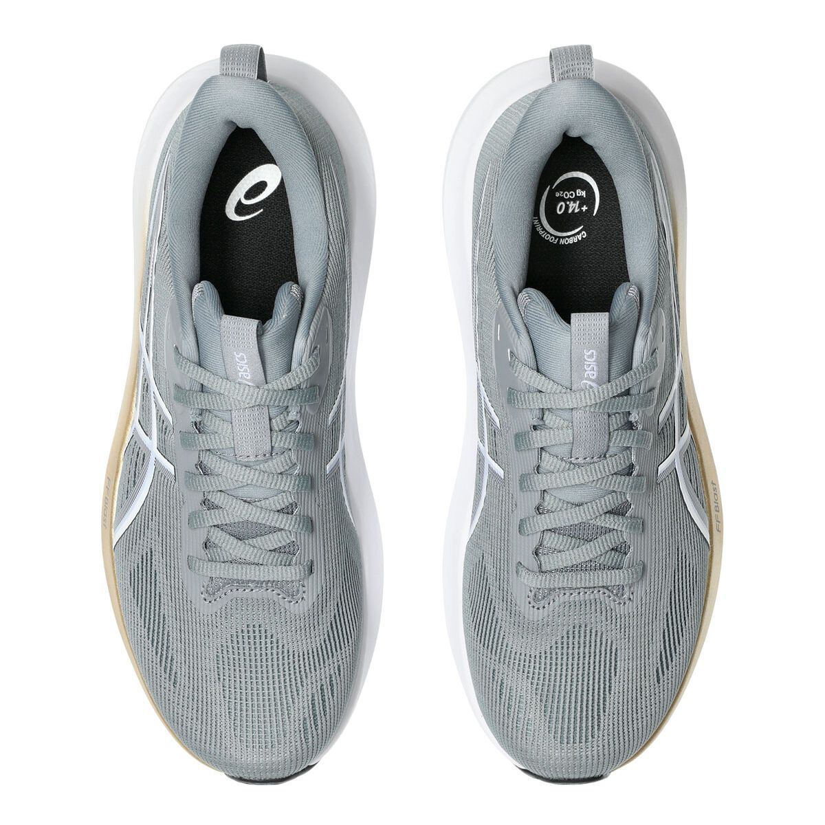 Asics GT 1000 14 D Wide Fit Womens Running Shoes