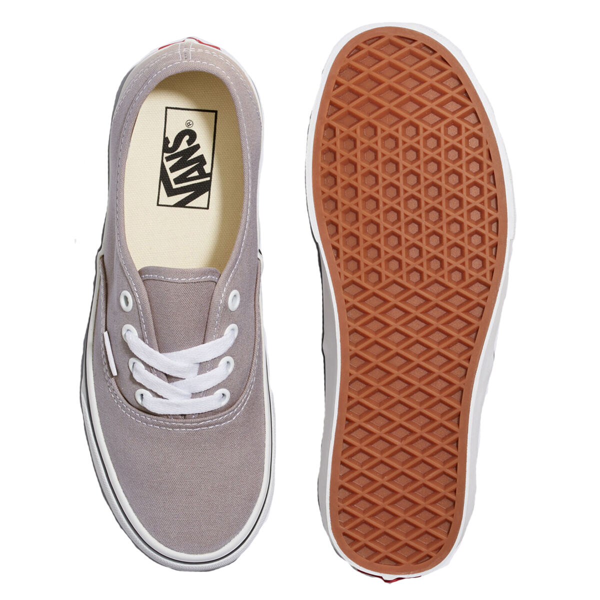 Vans Authentic Casual Shoes