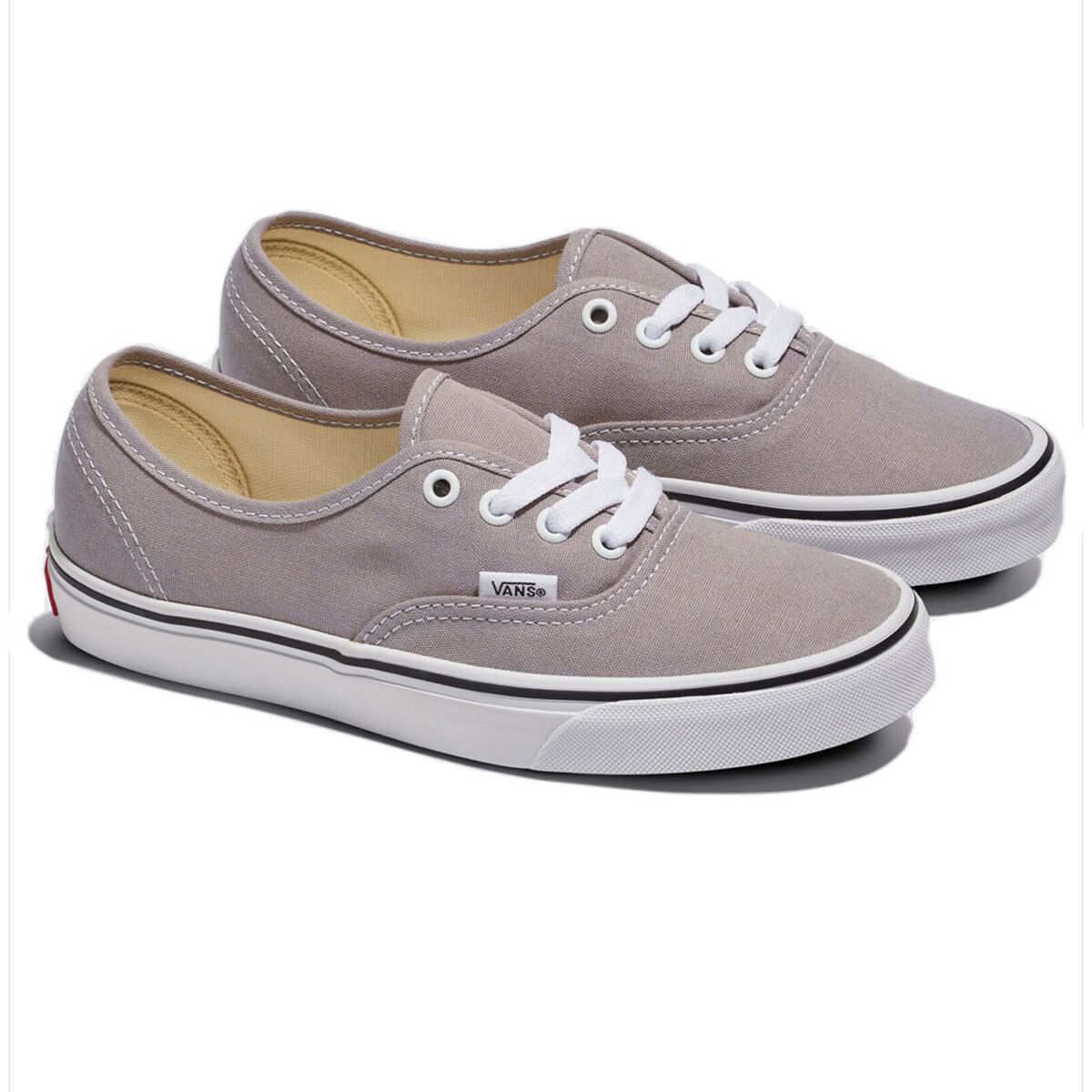 Vans Authentic Casual Shoes