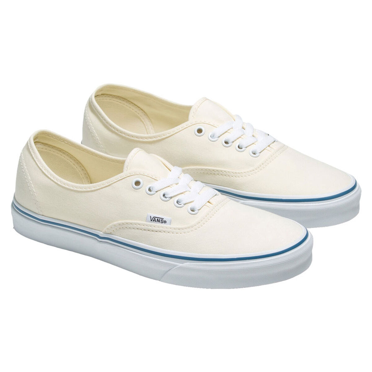 Vans Authentic Casual Shoes