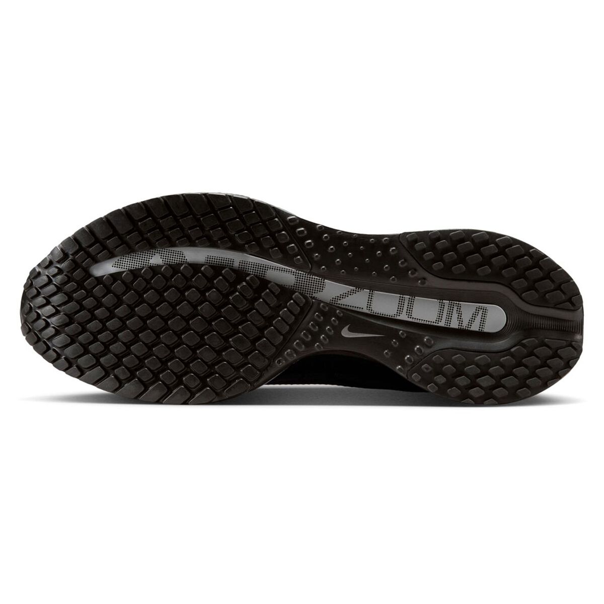 Nike Pegasus Premium Womens Running Shoes