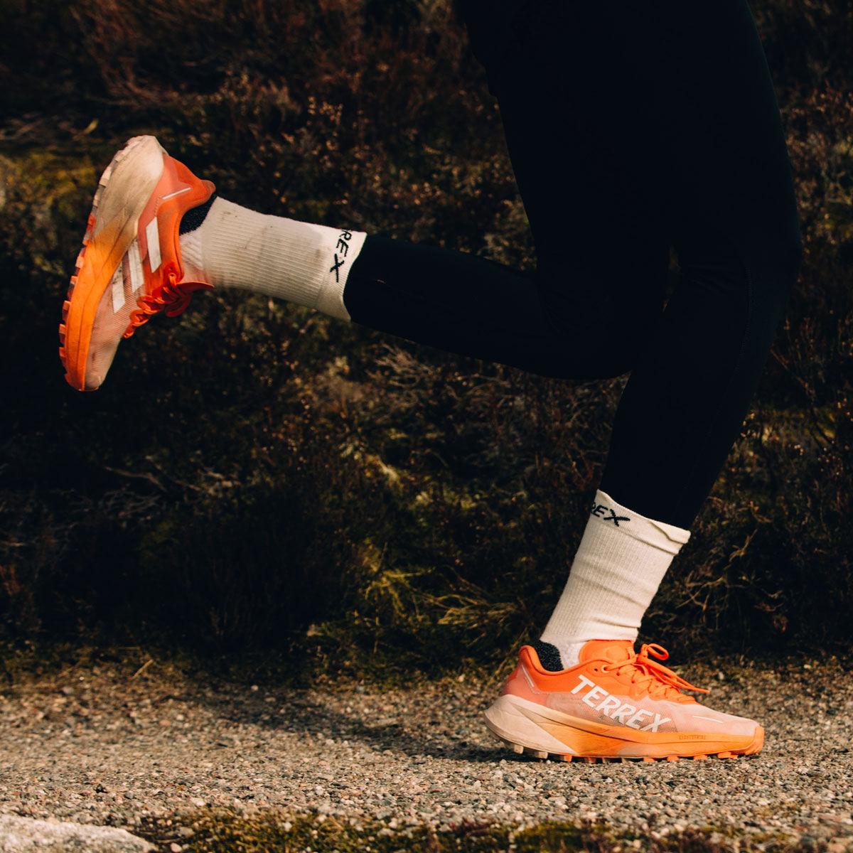 adidas Terrex Agravic Flow 3 Womens Trail Running Shoe