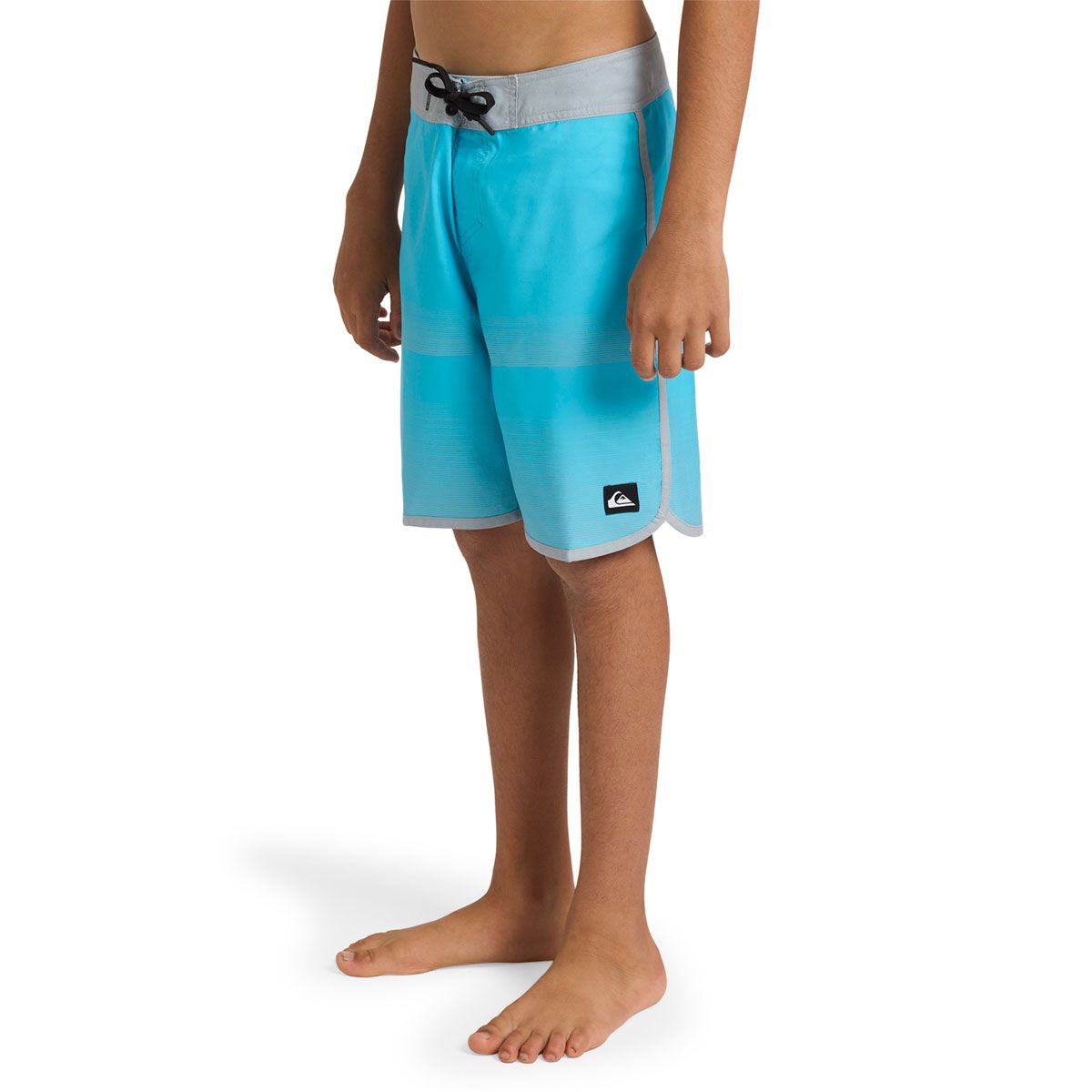 Quicksilver Boys Everyday Stripe 17 inch Boardshorts