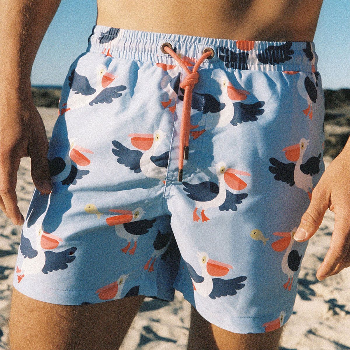 Skwosh Mens Pelican Party Board Shorts