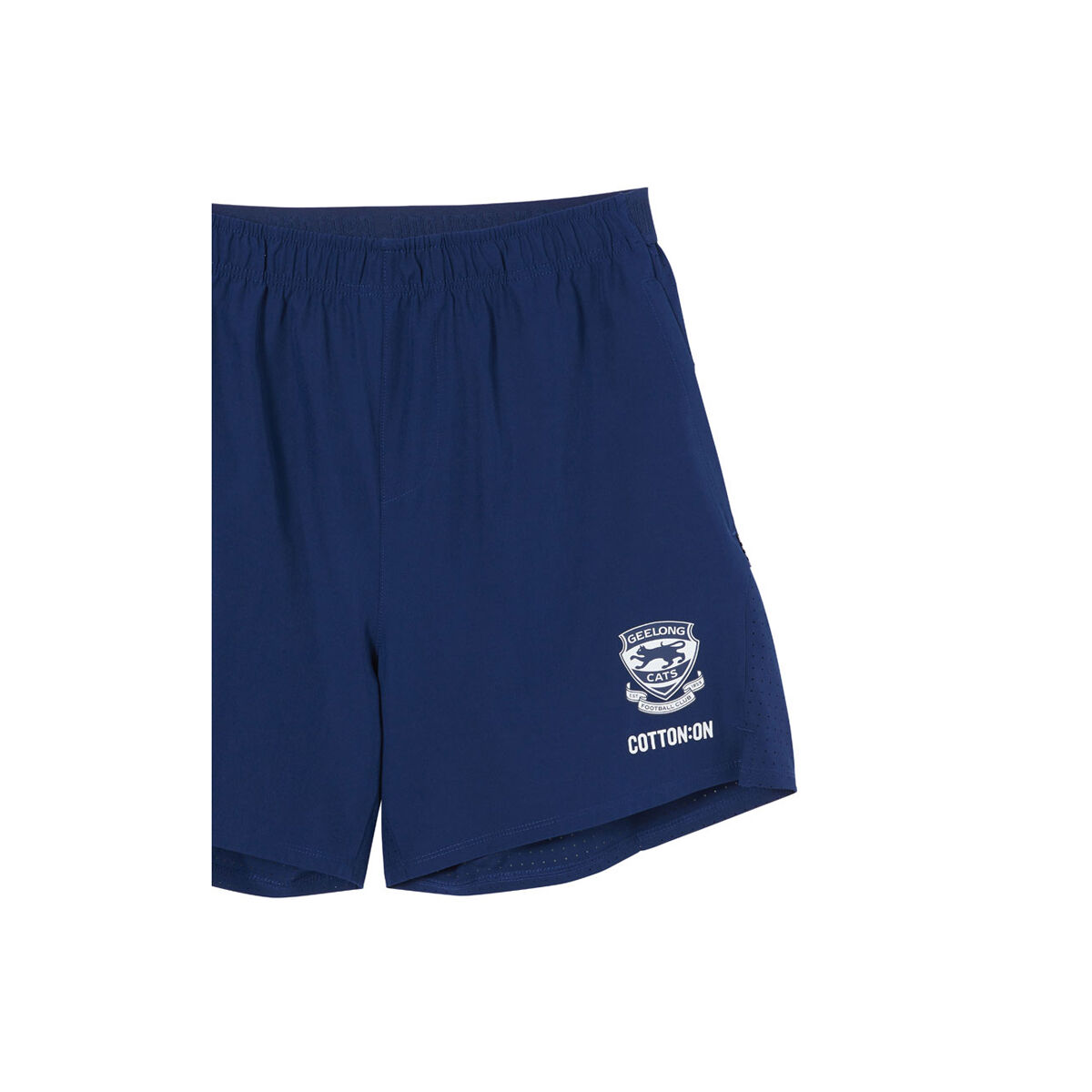 Geelong Cats 2024 Mens Training Shorts