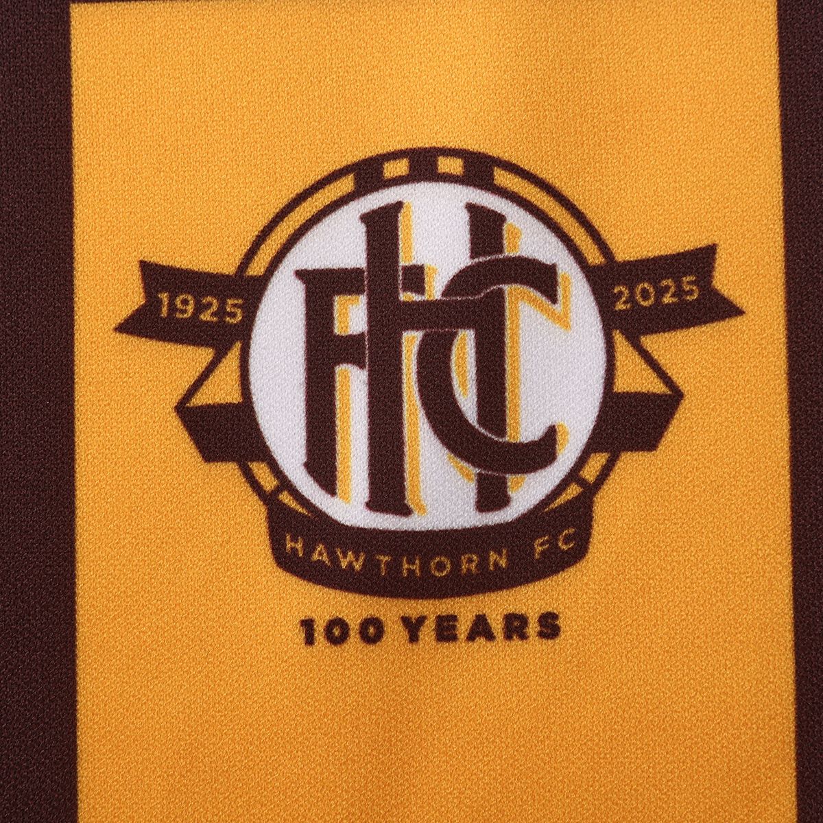 Hawthorn Hawks 2025 Mens 100 Year Home Guernsey