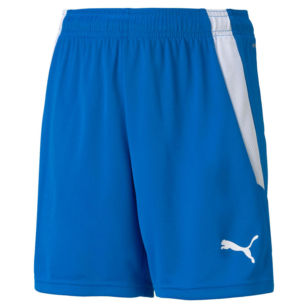 PUMA Junior Liga Football Shorts