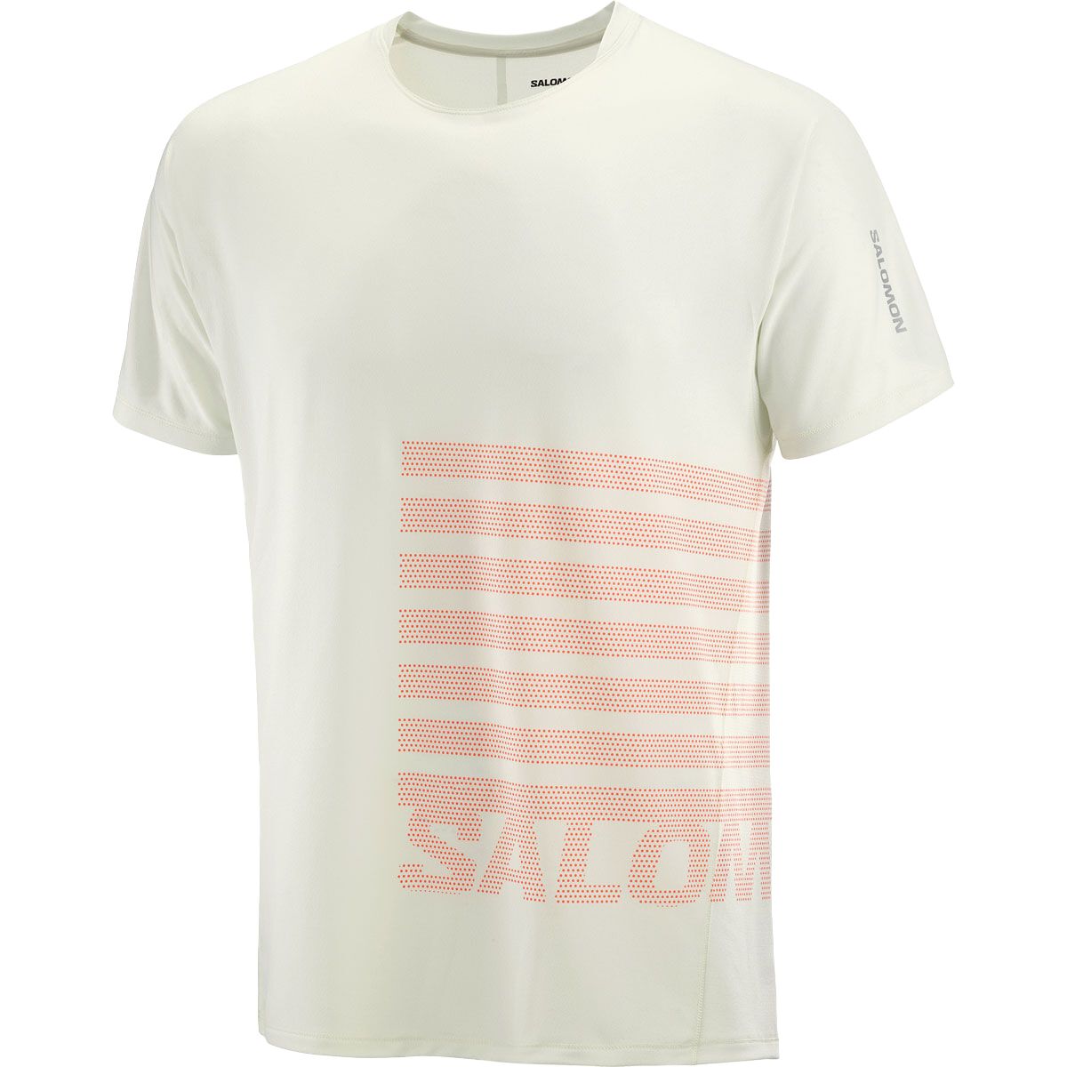Salomon Mens Sense Aero GFX Tee