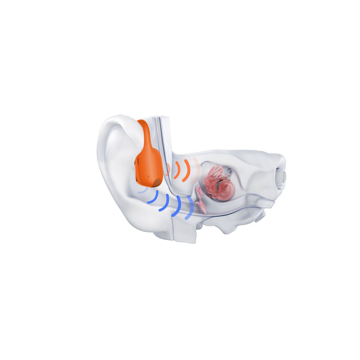 Shokz OpenRun Pro 2 Headphones