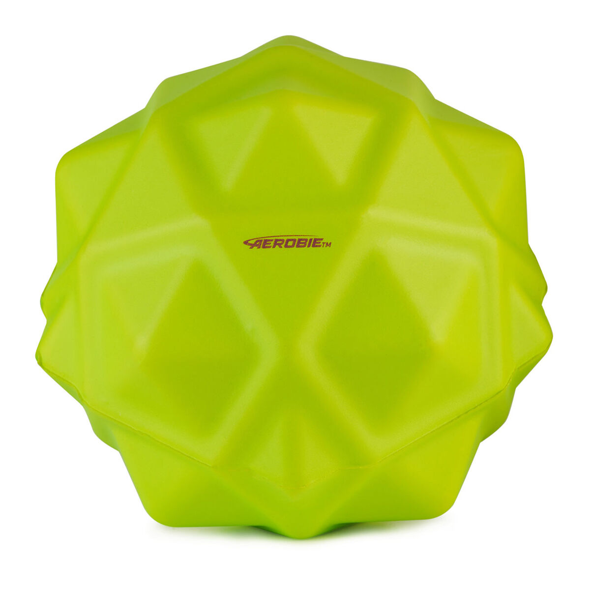 Aerobie Sonic Bounce
