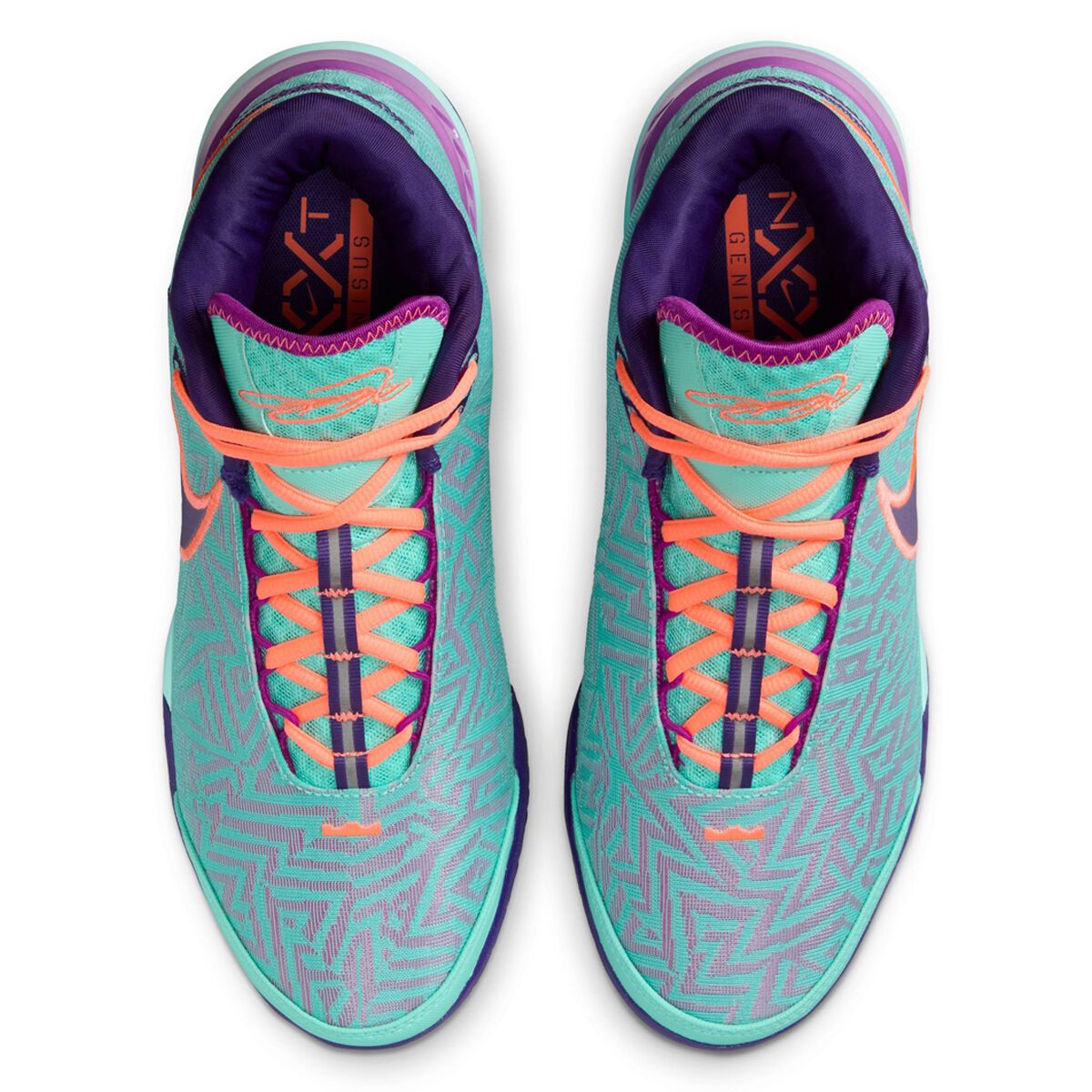 Nike LeBron NXXT Genisus Basketball Shoes