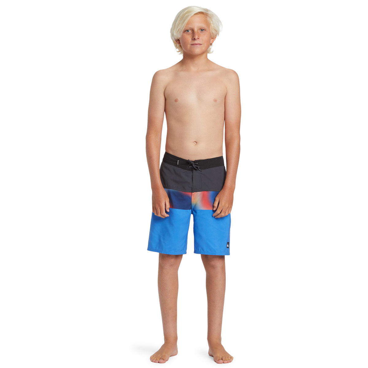 Quiksilver Boys Everyday Panel 17 Board Shorts