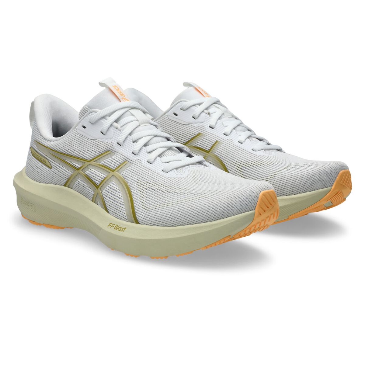 Asics GT 1000 14 Mens Running Shoes