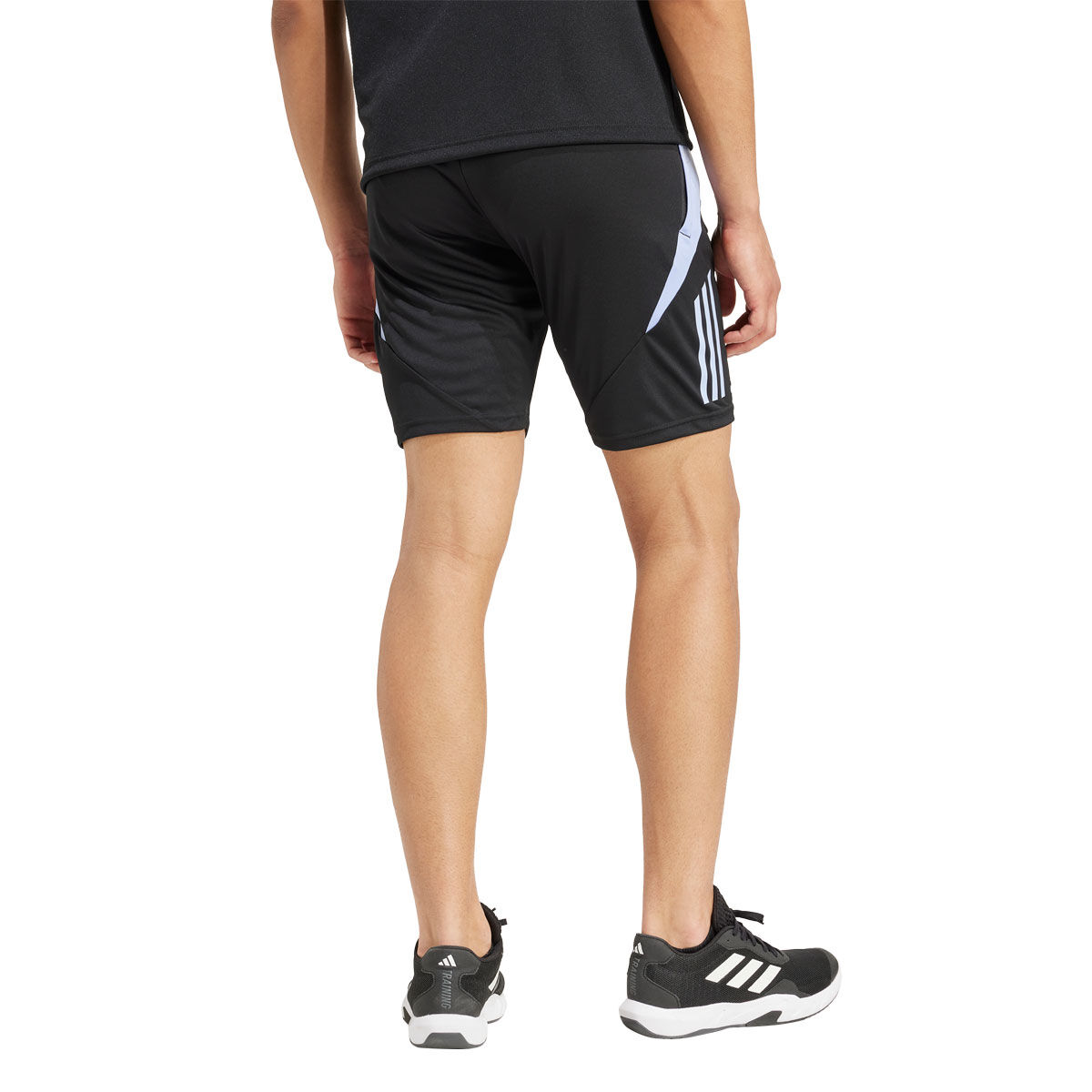 All Blacks 2024 Mens Training Shorts