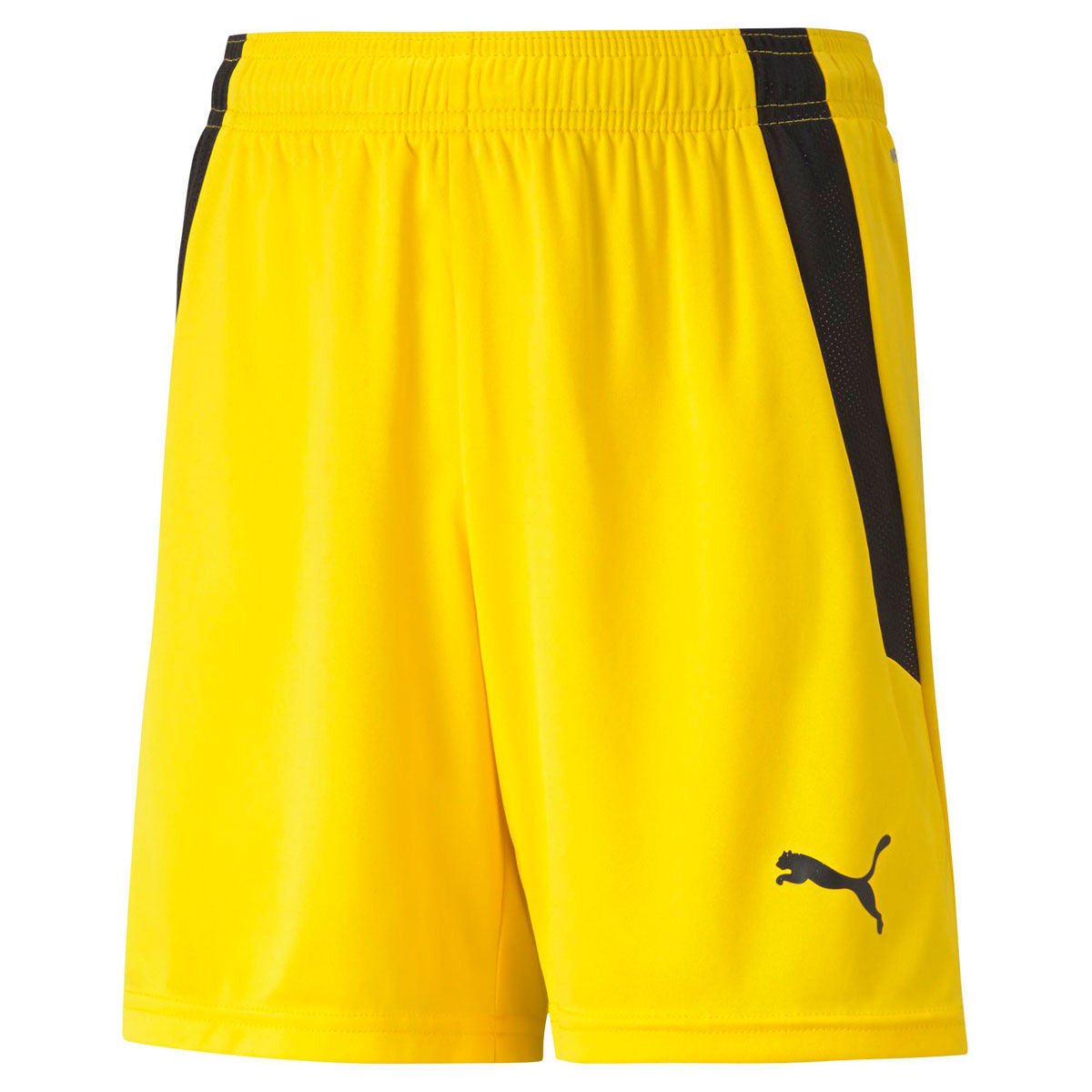 Puma Kids Liga Shorts