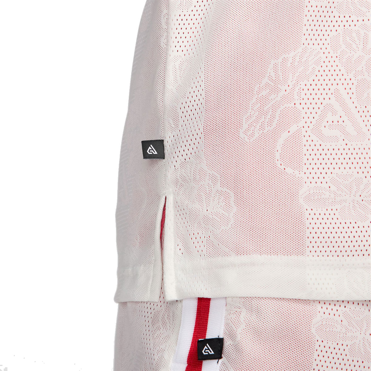 Nike Mens Giannis Dri-FIT DNA Basketball Jersey