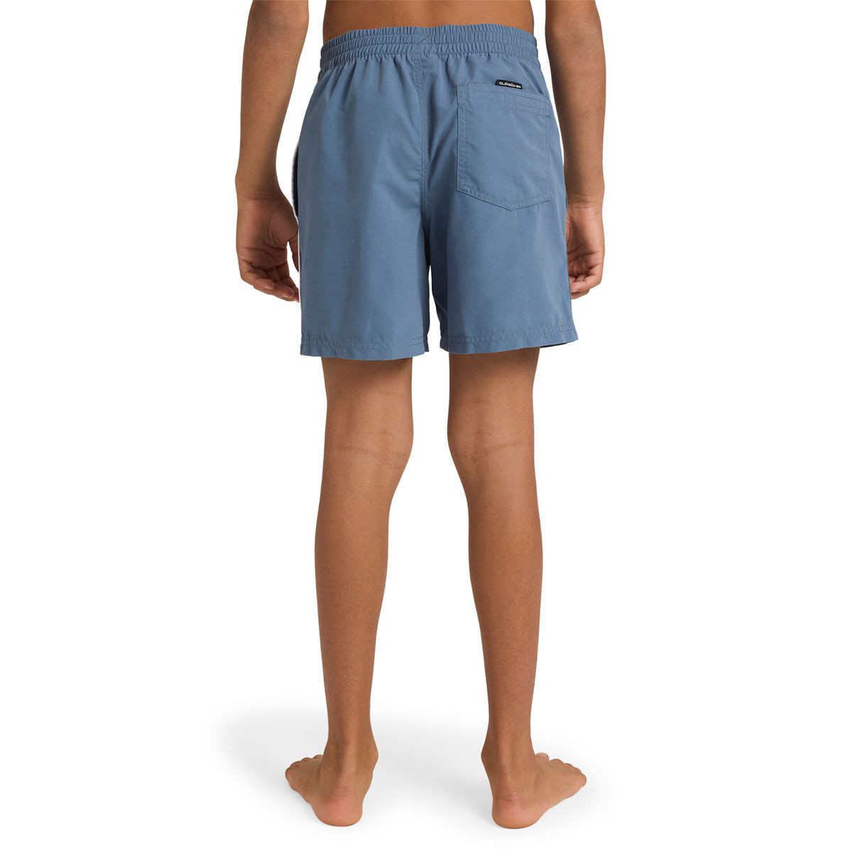 Quicksilver Boys Everyday Volley 14 inch Boardshorts
