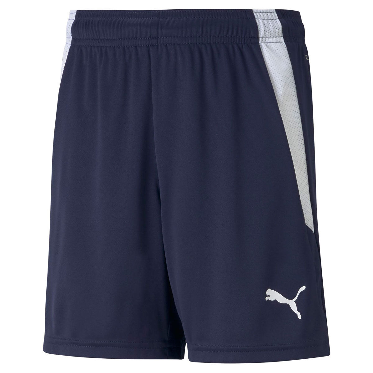 PUMA Junior Liga Football Shorts