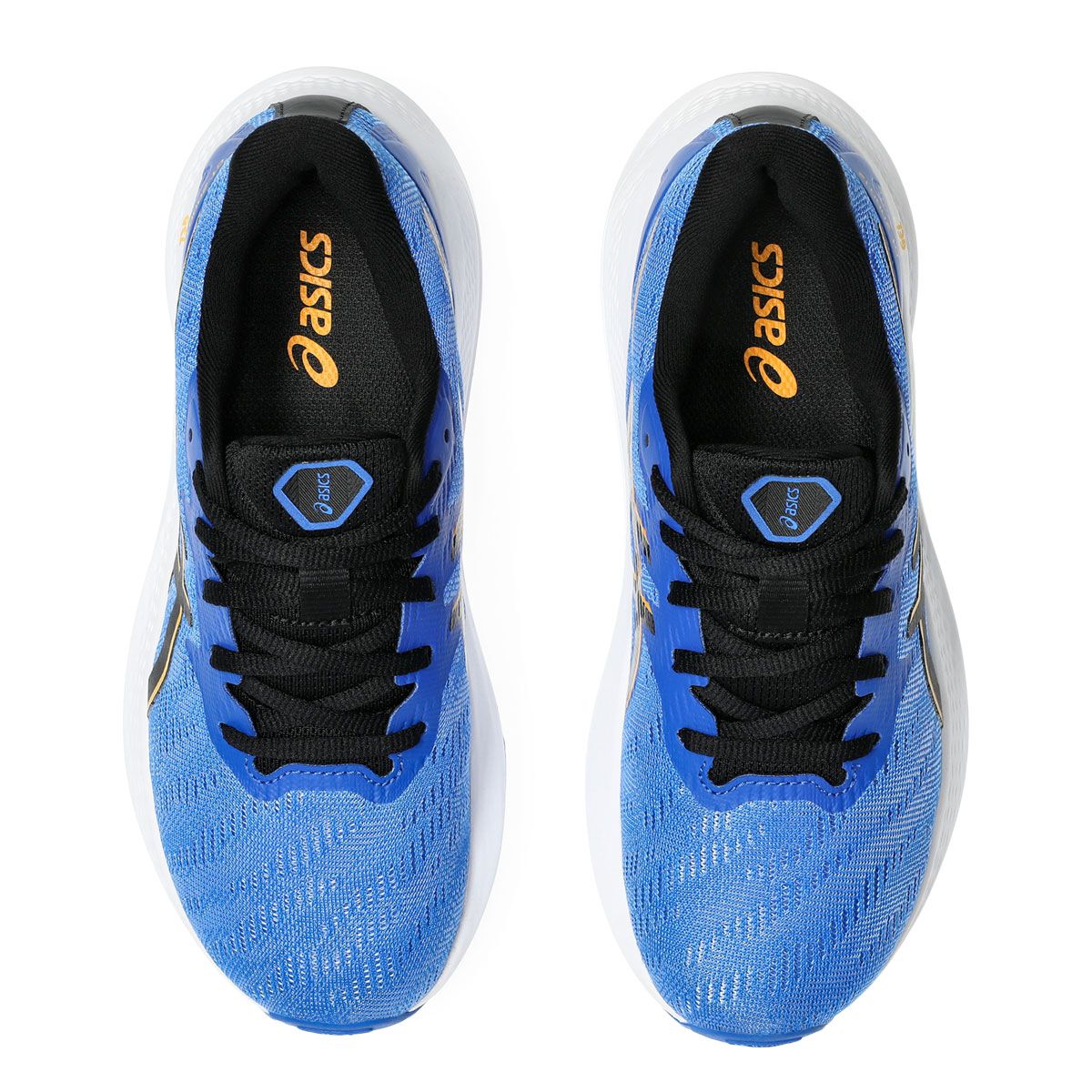 Asics GT 2000 12 GS Kids Running Shoes