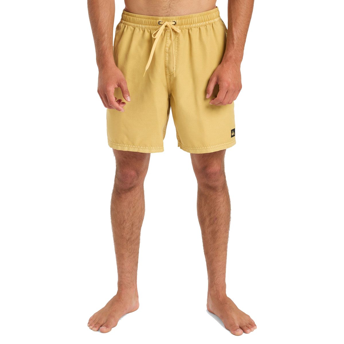 Quiksilver Mens Everyday Surfwash 17NB Volley Board Shorts