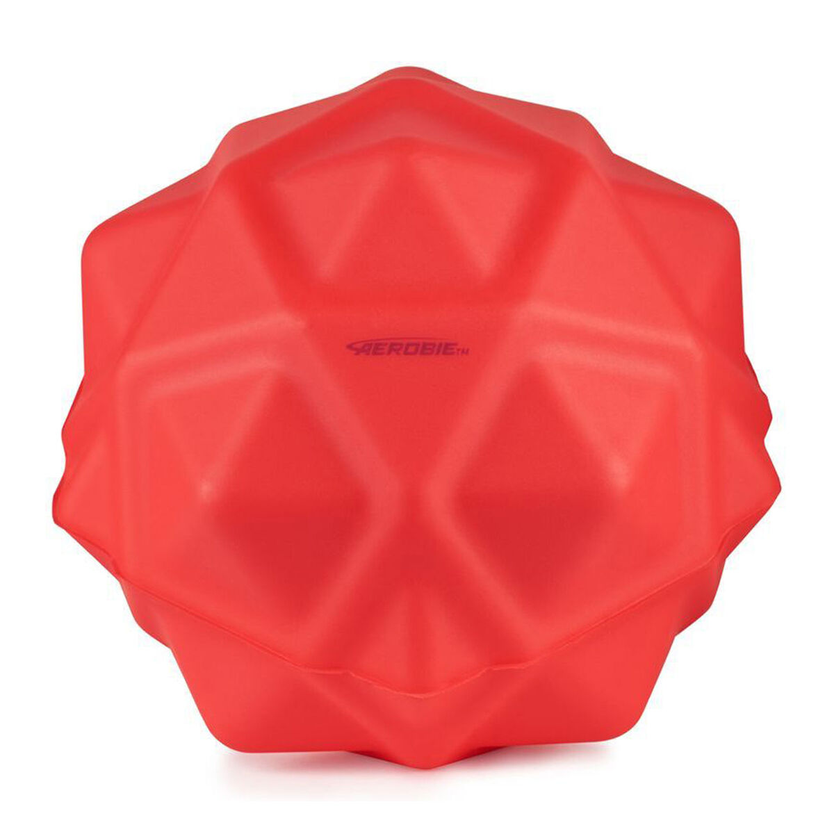 Aerobie Sonic Bounce