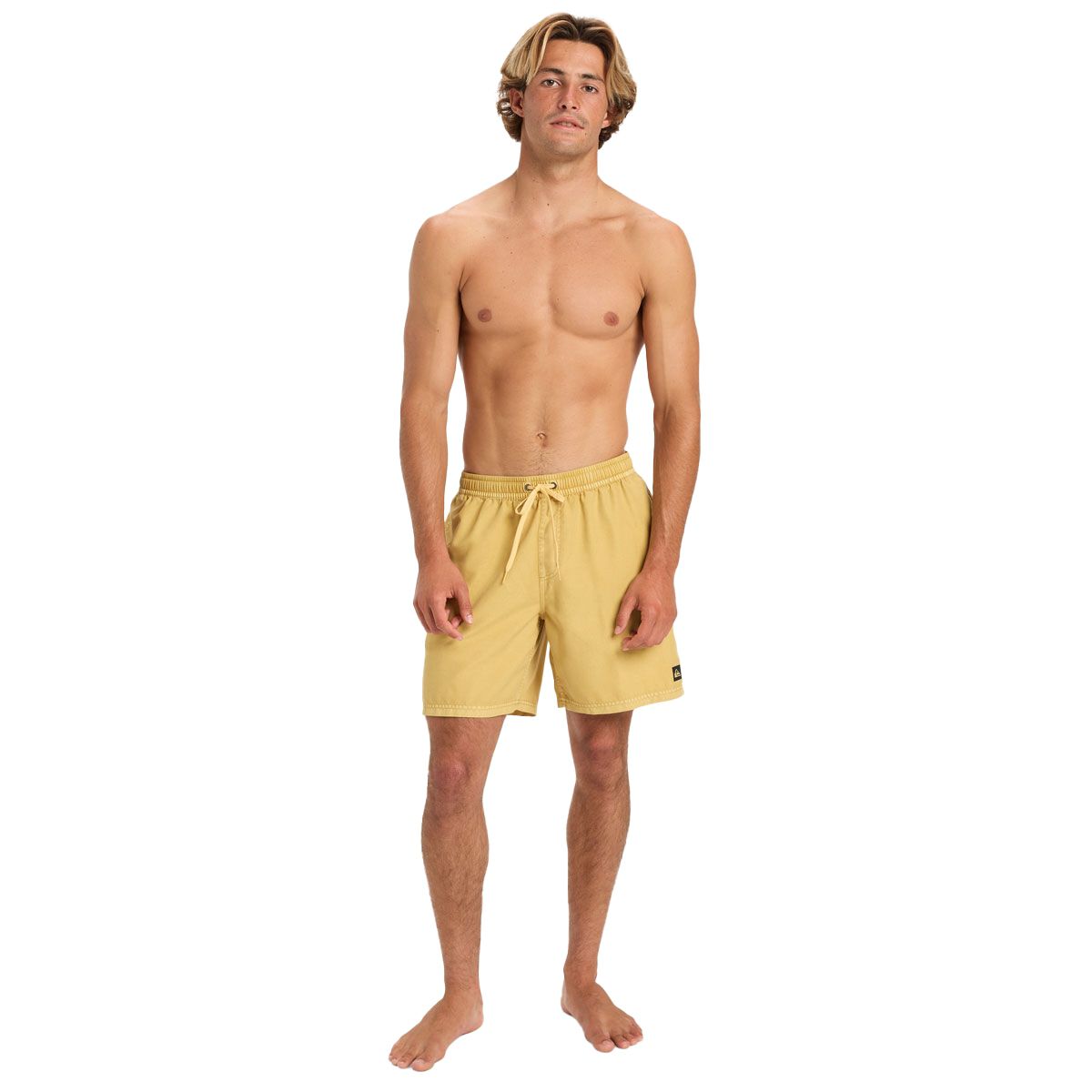 Quiksilver Mens Everyday Surfwash 17NB Volley Board Shorts