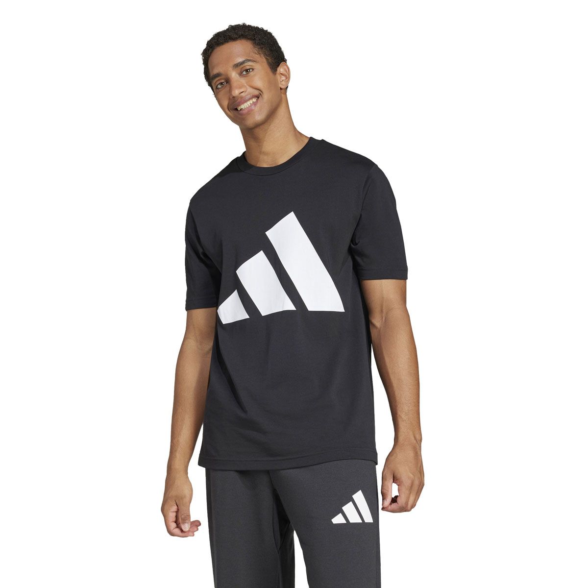 adidas Mens Essentials Big Logo Tee