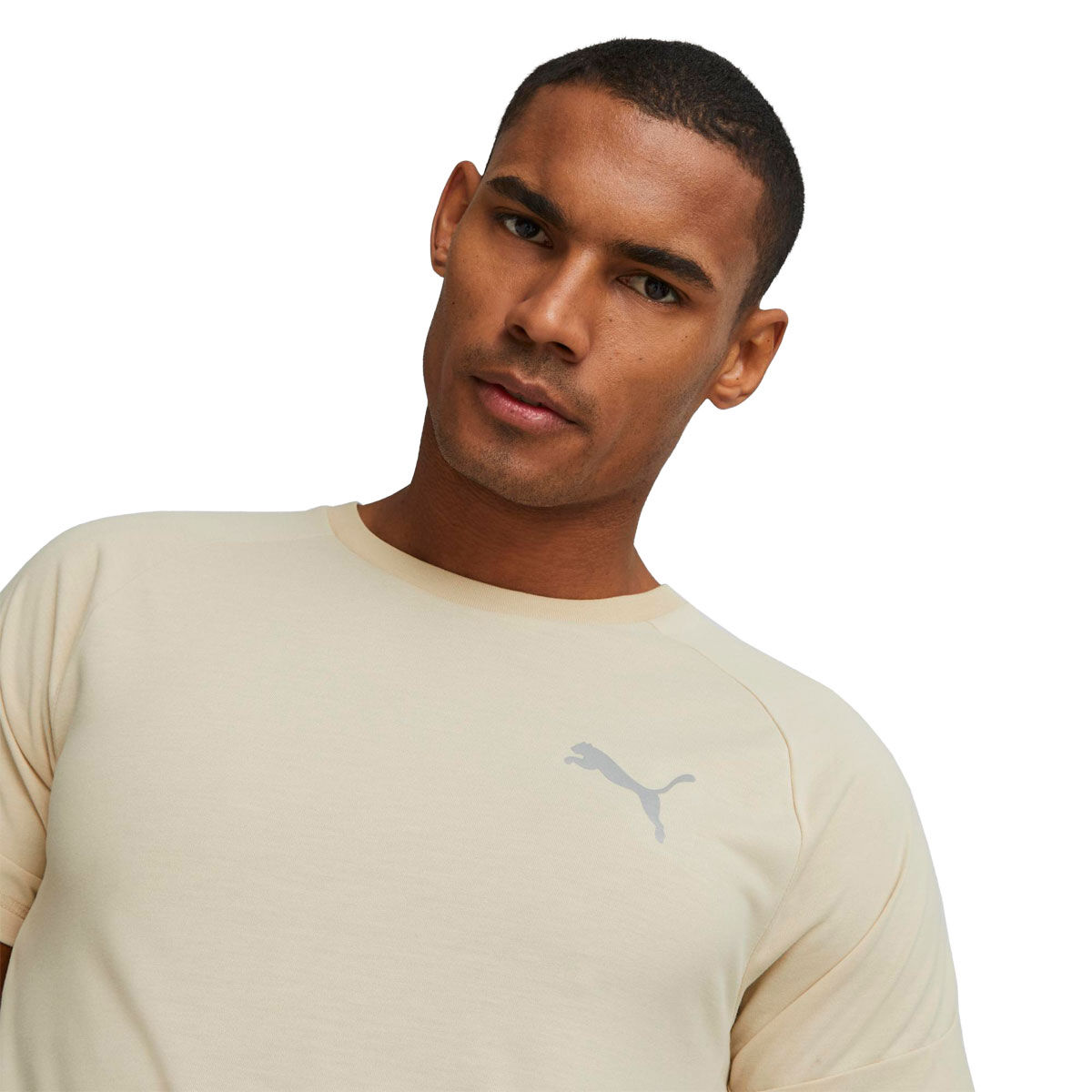 PUMA Mens Evostripe Training Tee