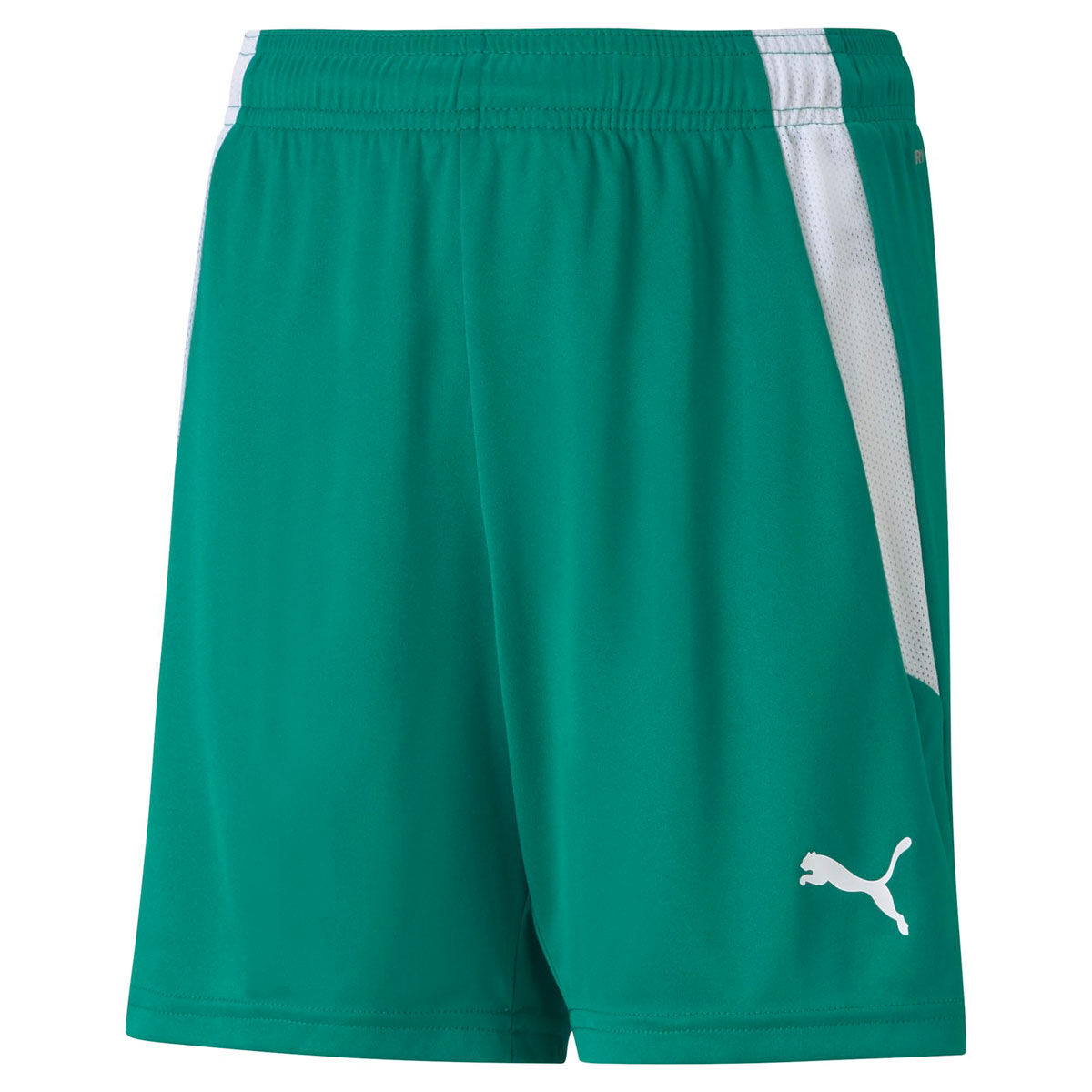 PUMA Junior Liga Football Shorts