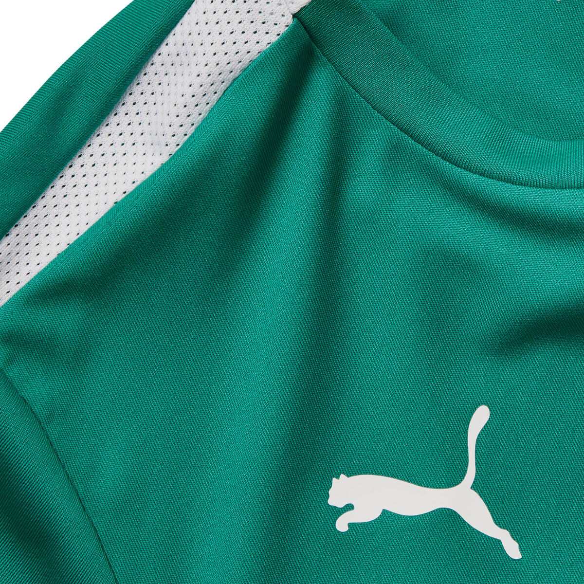 PUMA Junior Liga Football Jersey