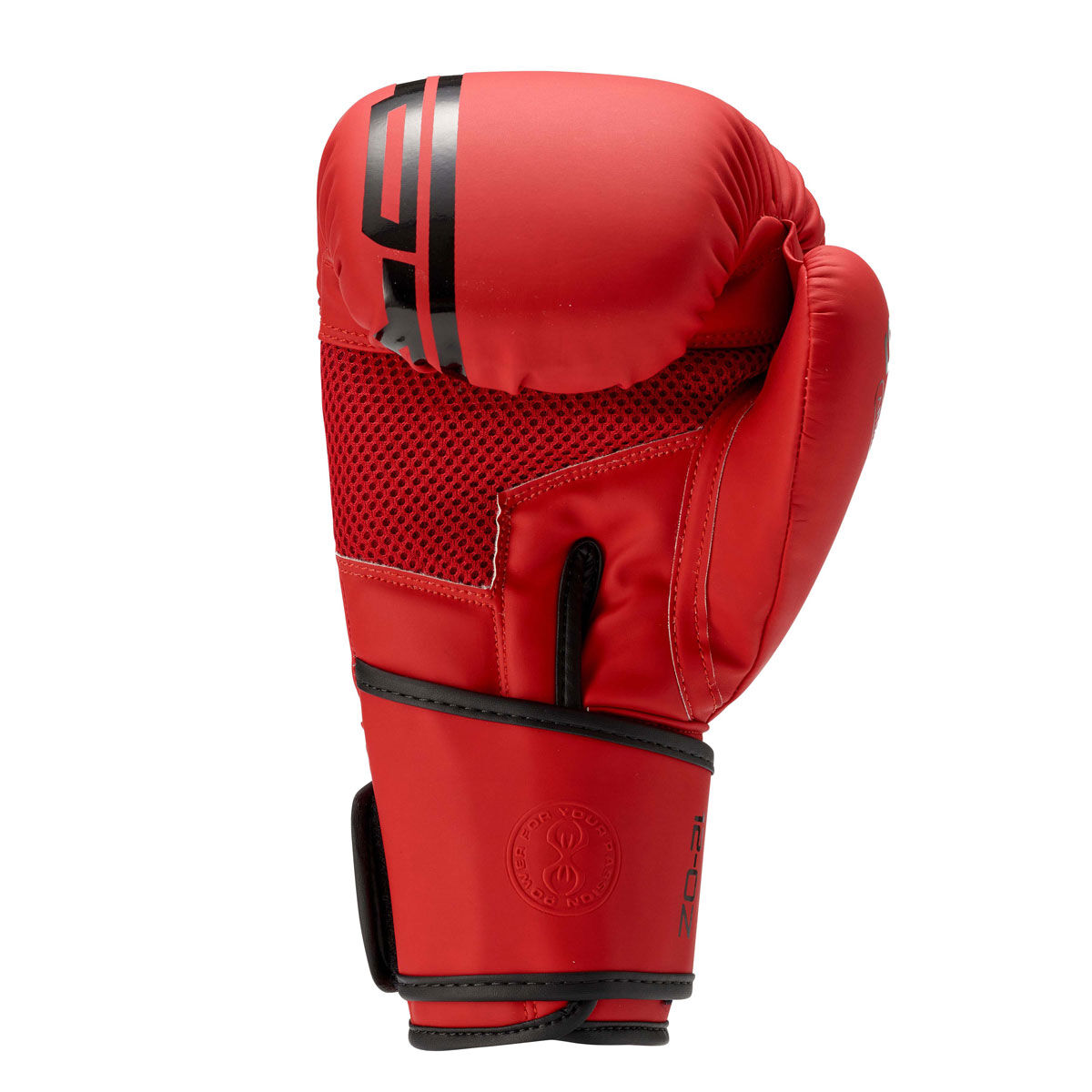 Sting Armaplus Boxing Gloves